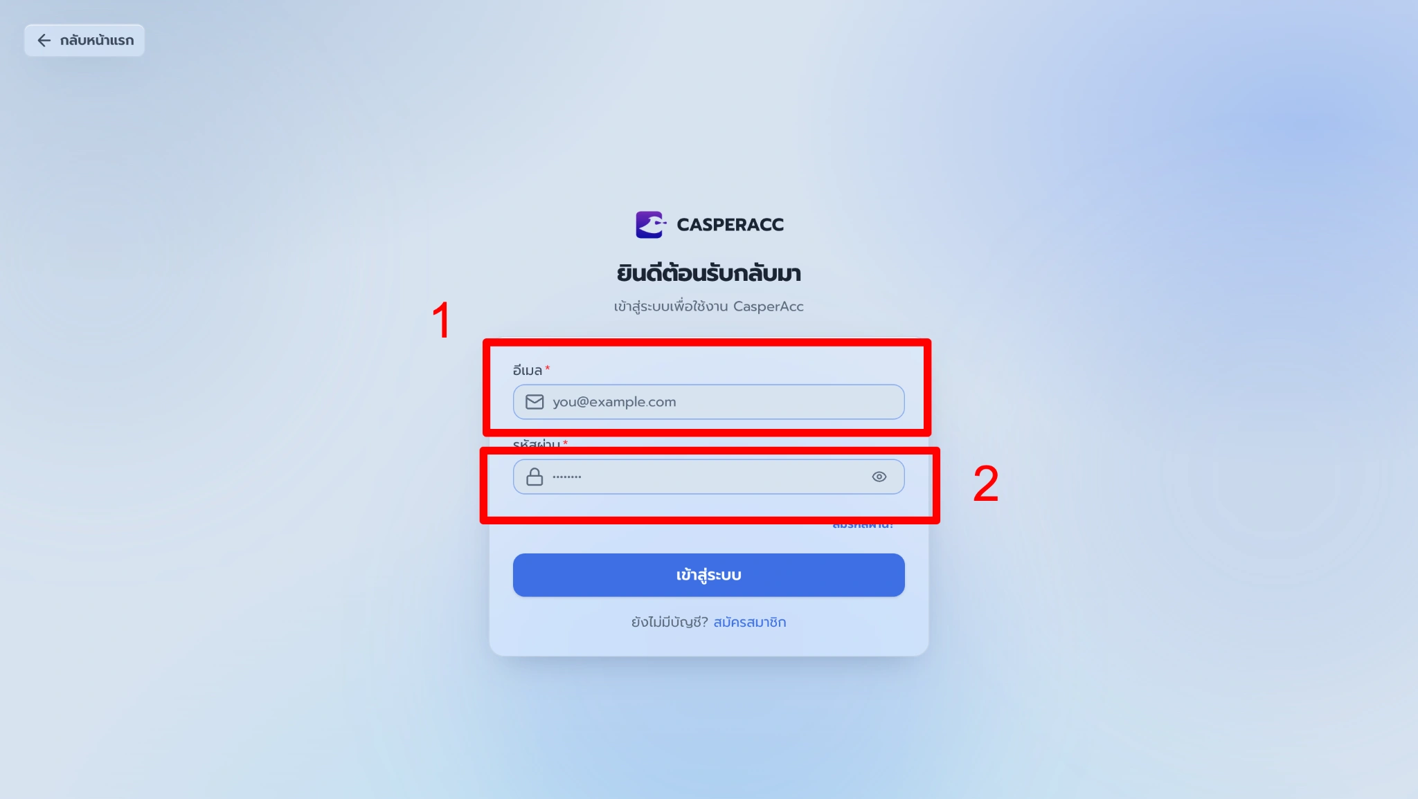 Log in with your email and password